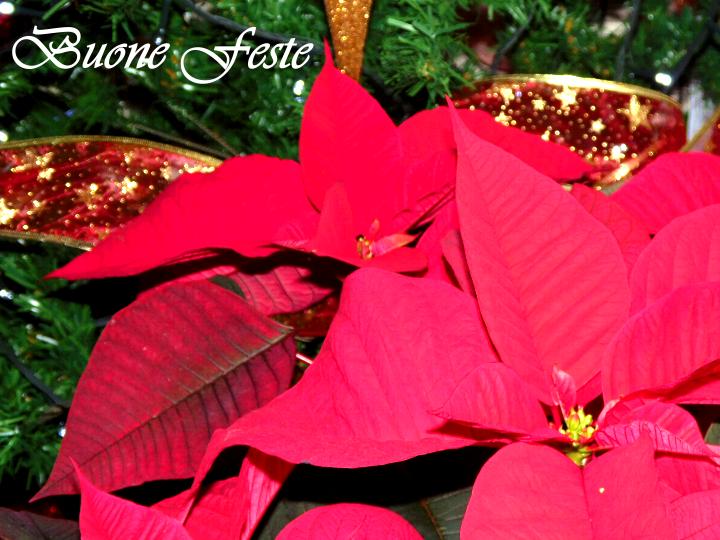 Buone Feste da Ricette che Passione