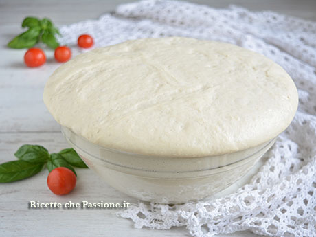 Impasto pizza 1 g di lievito