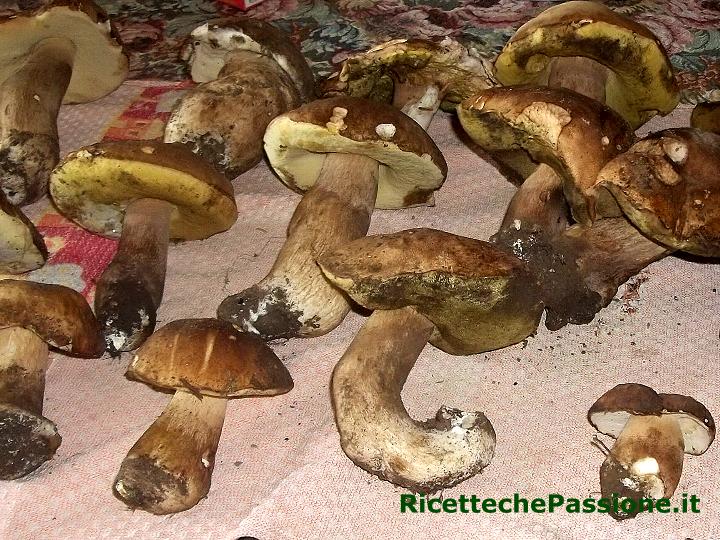 Pulire e Conservare i Funghi
