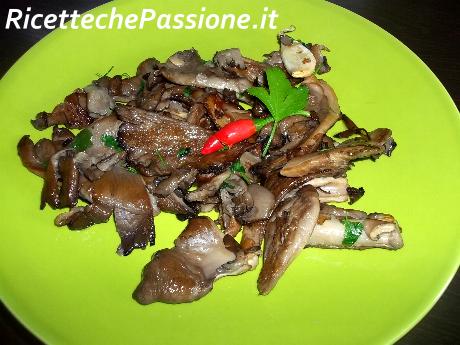 Funghi Pleurotus Trifolati